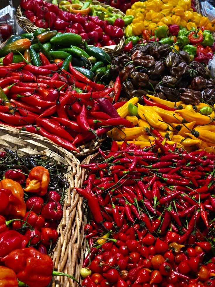 Piments rouges frais
