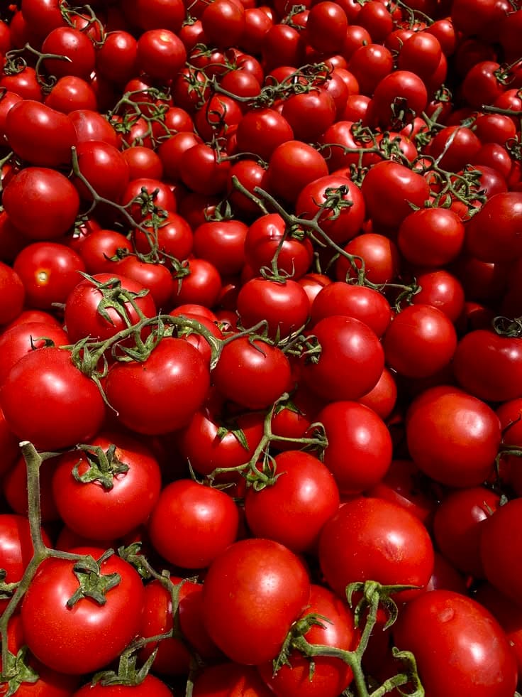 Tomates — marché local