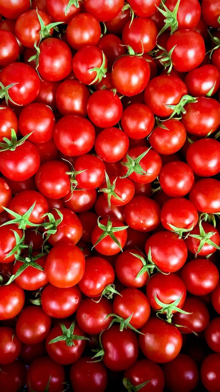 Maraîchage & Production légumes frais